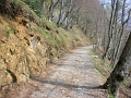 Alp Rohr_Hoehenweg_Chueweid 25 04 2010 (51)